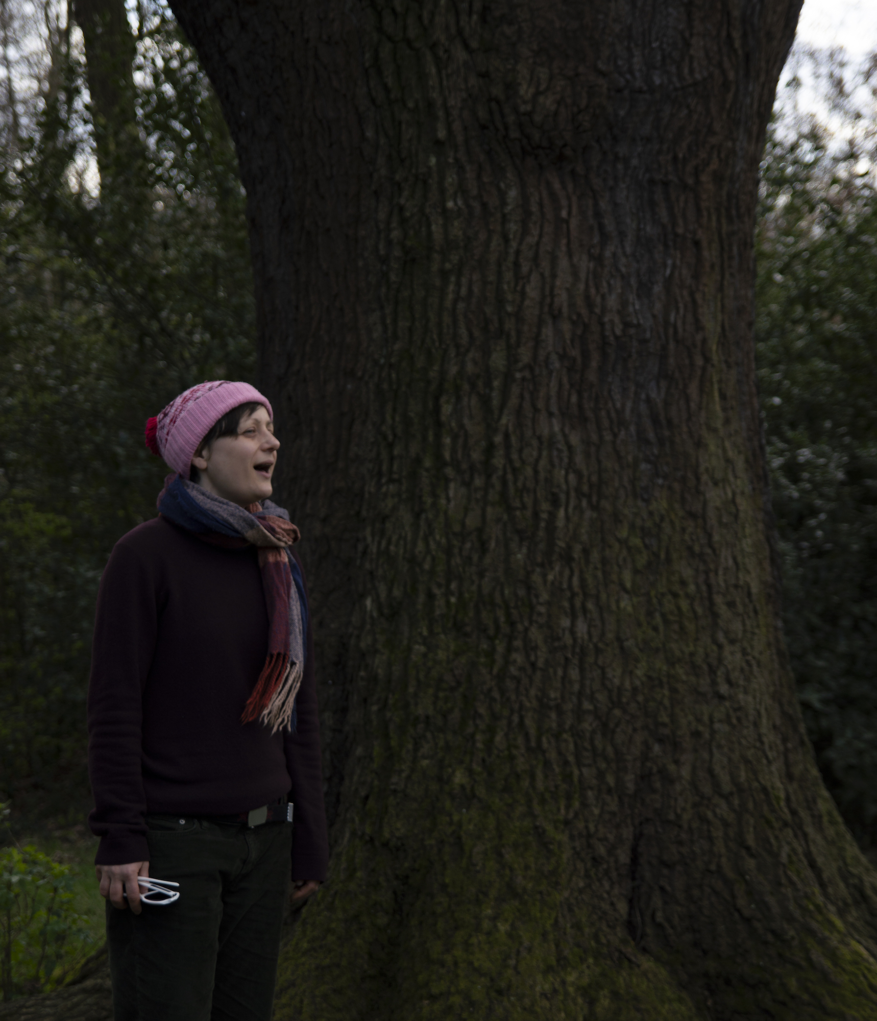 Singing with Ancient Trees